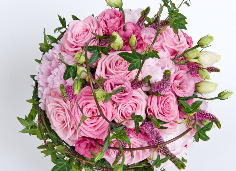 Pink Rose Bouquet — Calm, Photograph, Roses, Ivy