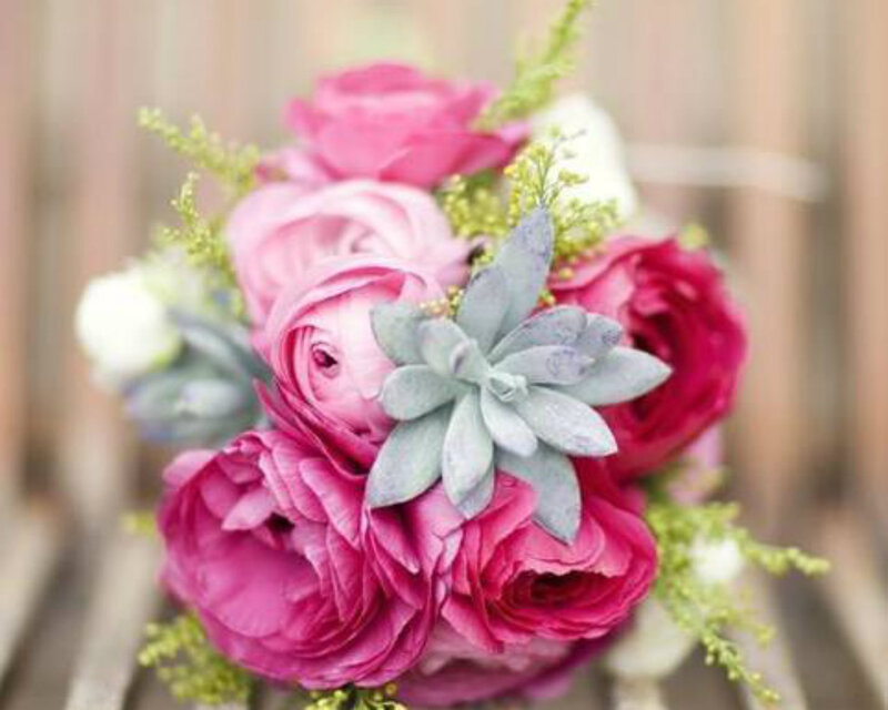 Pink Rose Bouquet — Calm, Photograph, Succulent