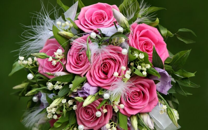 Pink Rose Bouquet — Elegant, Photograph, Feathers