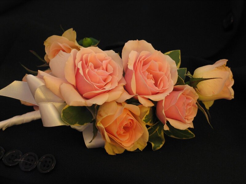 Pink Rose Bouquet — Elegant, Photograph, Ribbon