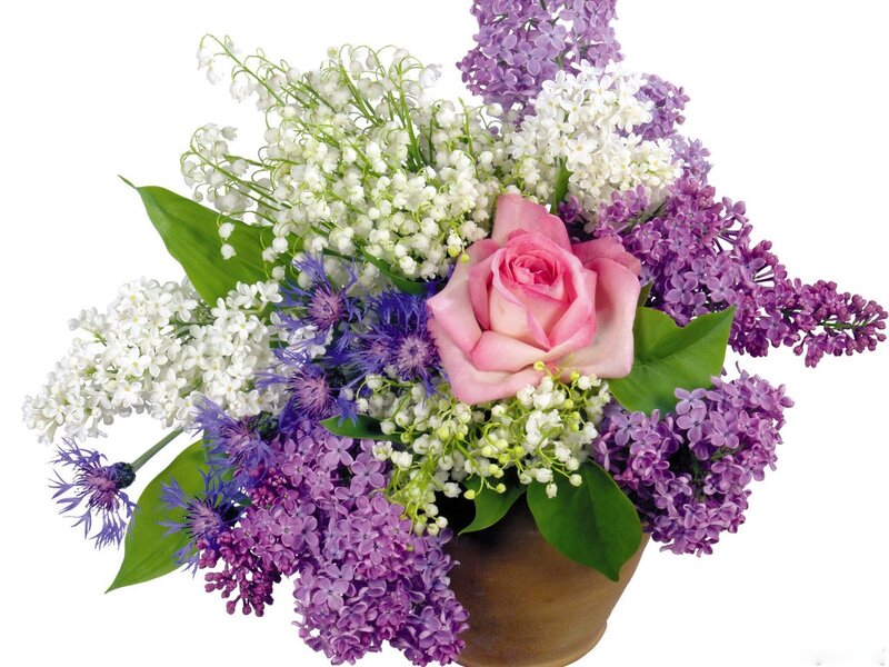Pink Rose Bouquet — Purple
