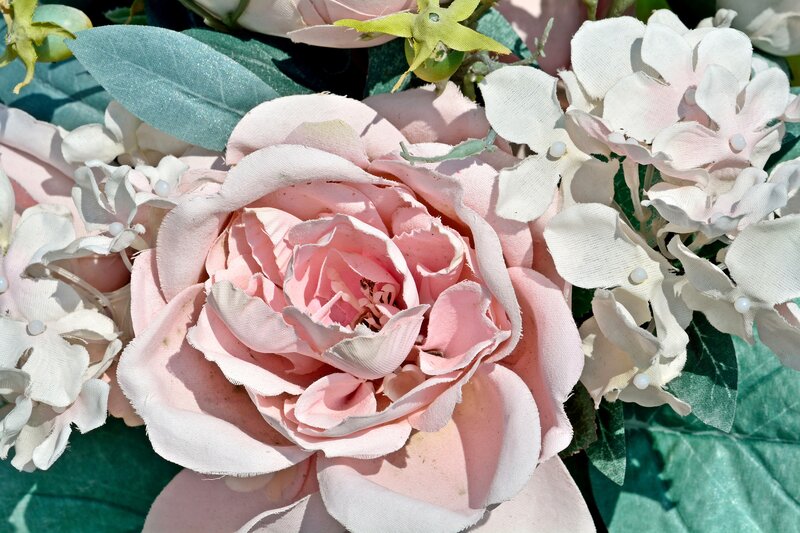 Pink Rose Bouquet — Serene, Afternoon, Photograph, White Flowers