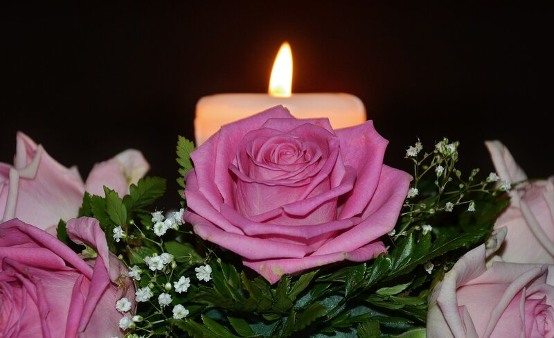 Pink Rose Bouquet — Serene, Night