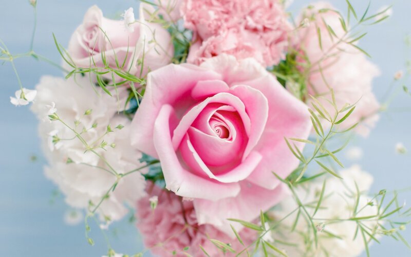 Pink Rose Bouquet — Serene, Spring, Photograph, Carnations