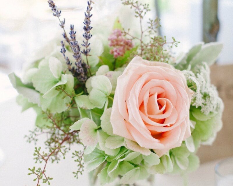 Pink Rose Bouquet — Serene, Spring, Photograph, Lavender