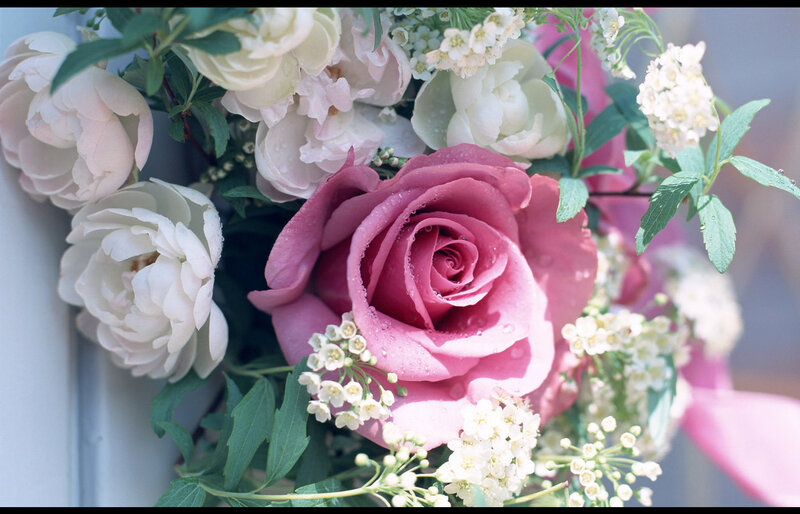 Pink Rose Bouquet — Serene, Spring, Photograph