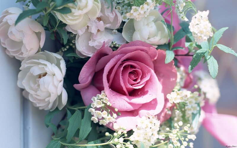 Pink Rose Bouquet — Serene, Spring