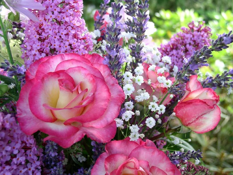 Pink Rose Bouquet — Serene, Summer