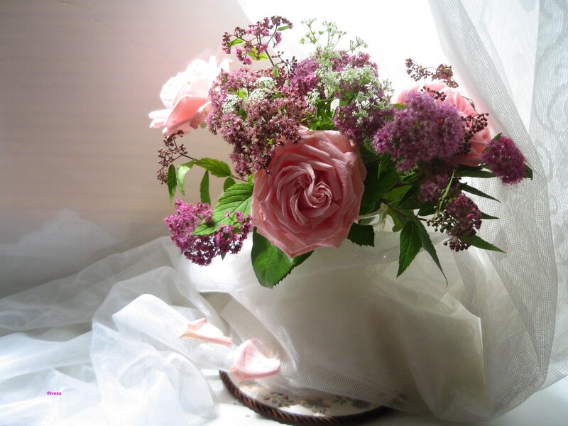 Pink Rose Bouquet — Serene