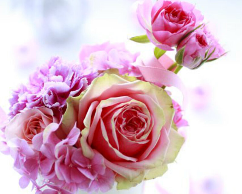 Pink Rose Bouquet — Soft, Photograph, Carnations