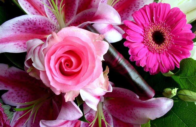 Pink Rose Bouquet — Vibrant, Photograph