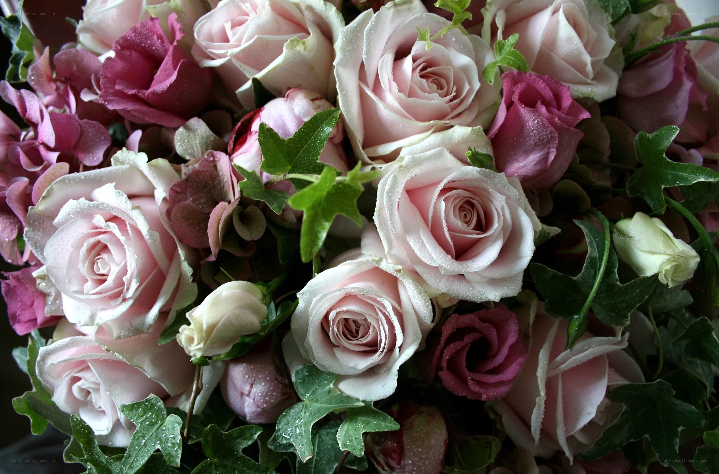 Pink rose bouquet with ivy