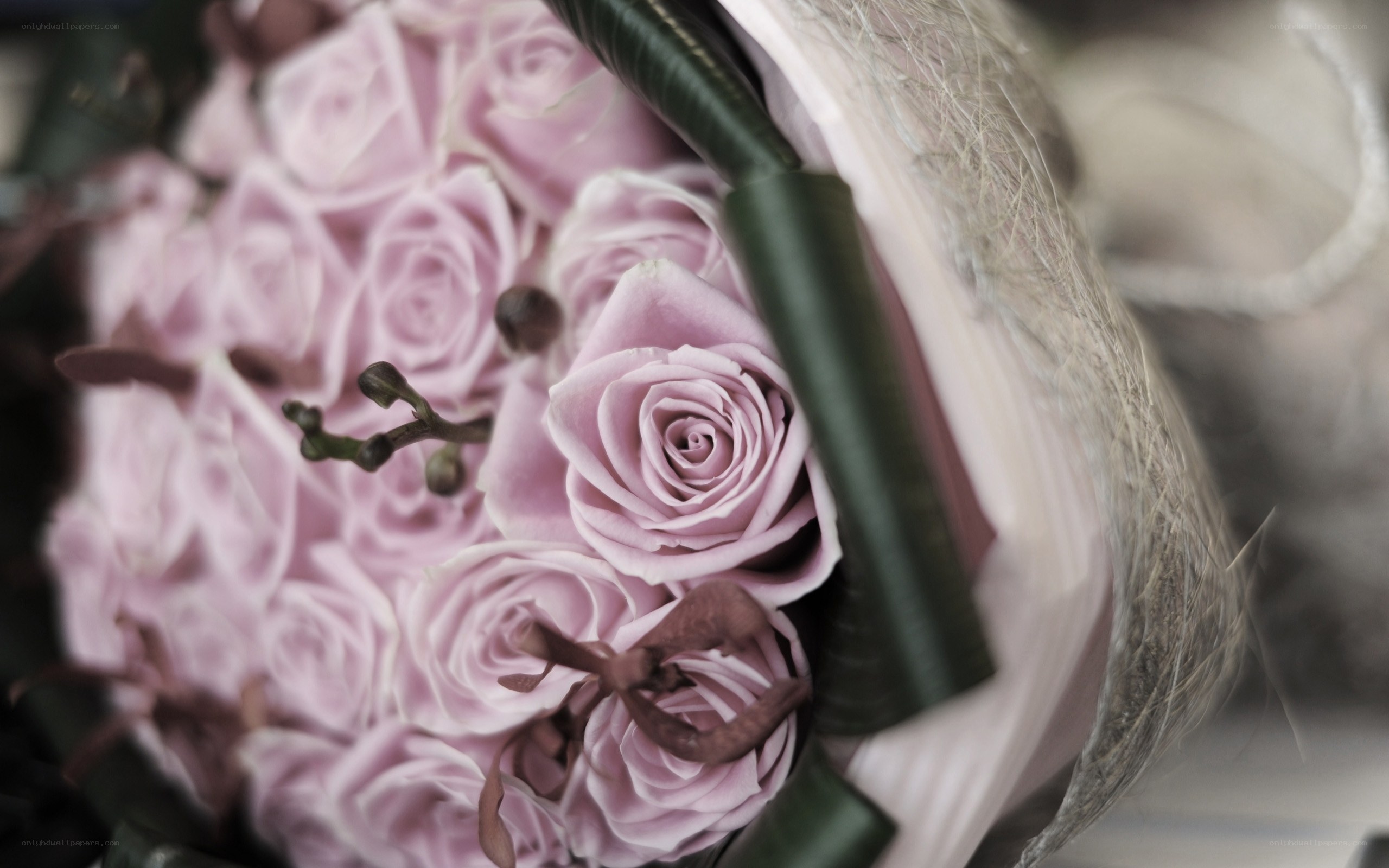 Pink rose bouquet