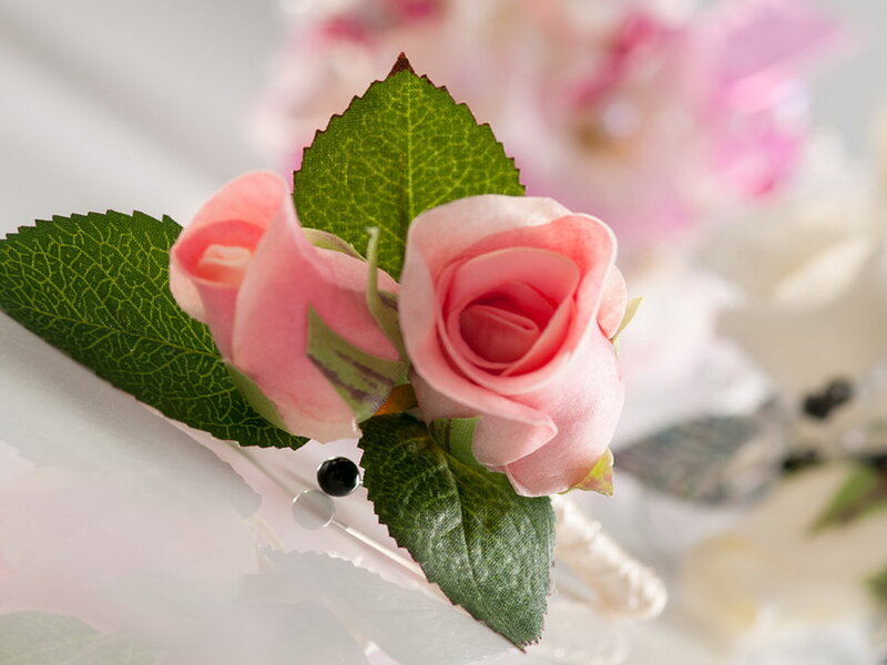 Pink Rose Boutonniere — Serene, Photograph