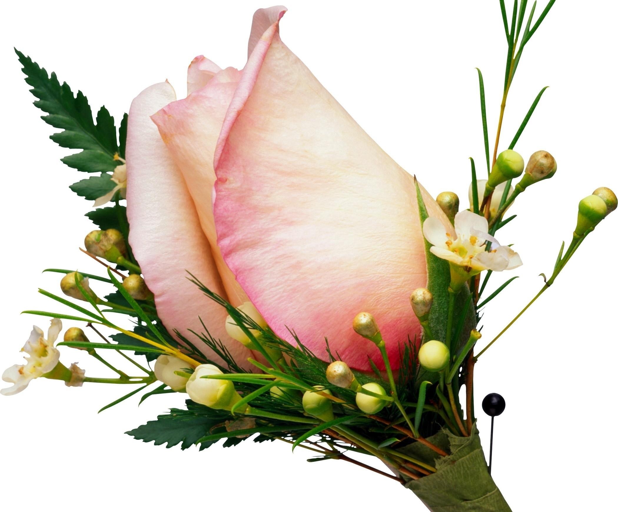 pink rose boutonniere