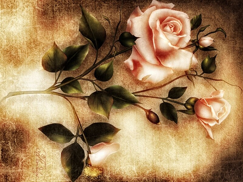 Pink Rose Branch — Beige