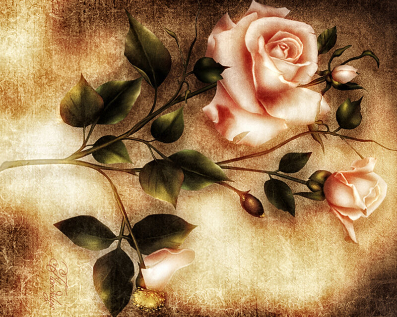 Pink Rose Branch