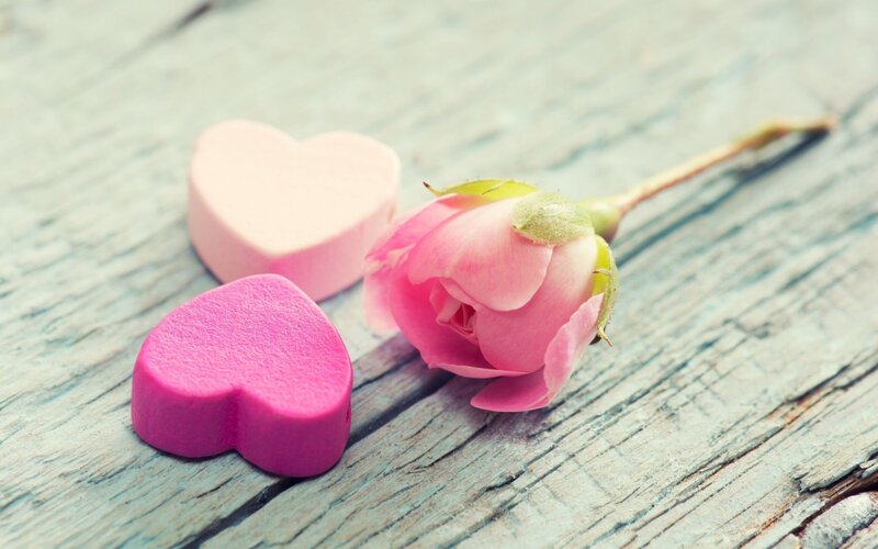 Pink Rose Bud and Hearts