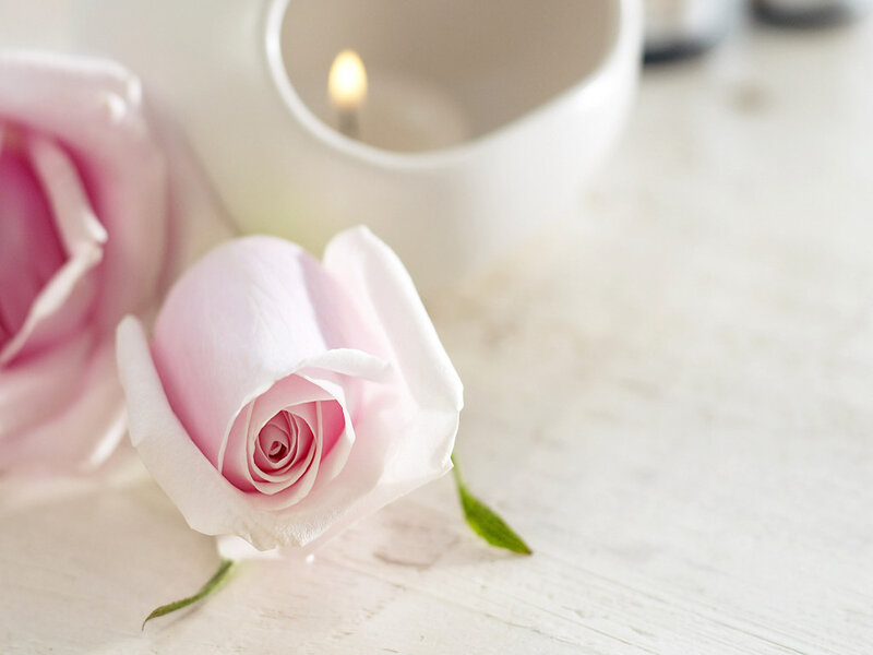 Pink Rose Bud — Serene, Photograph, Candle