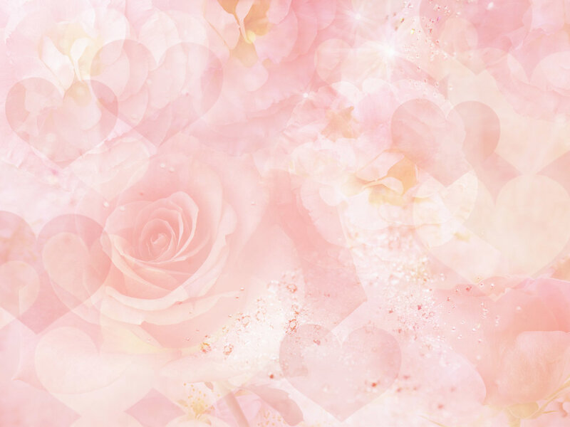 pink rose floral background