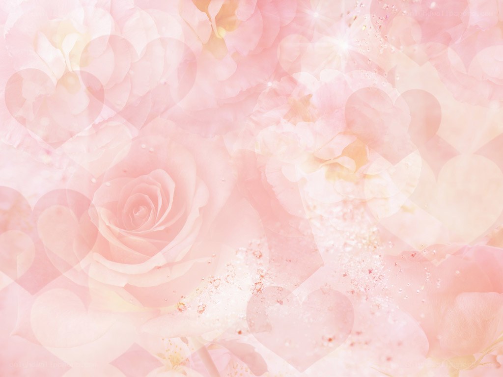 pink rose floral background