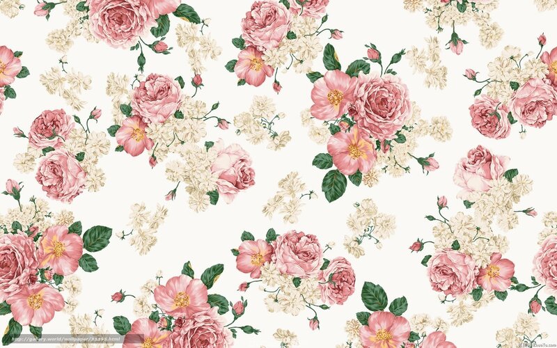 pink rose floral pattern