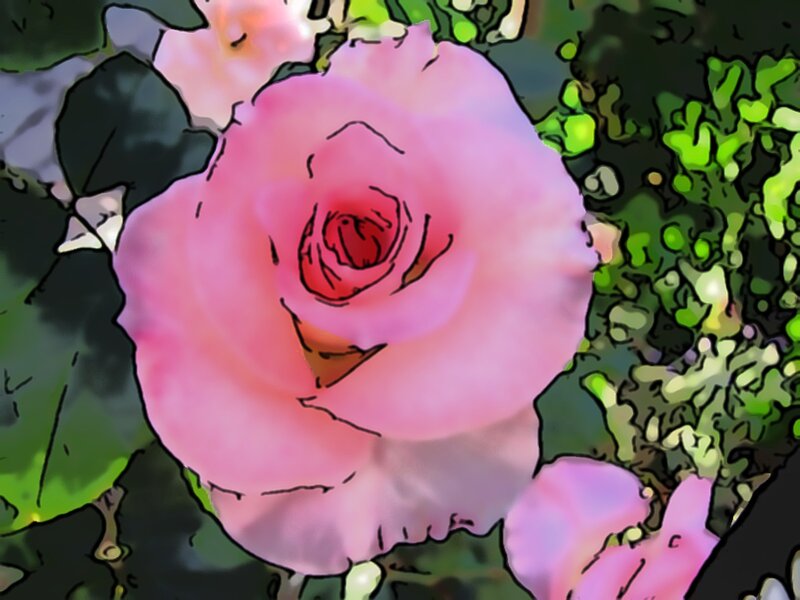 Pink Rose Flower — Calm, Digital Art, Leaves