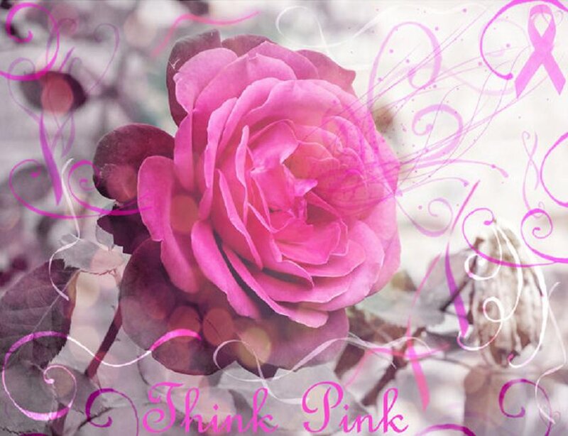 Pink Rose Flower — Calm, Digital Art
