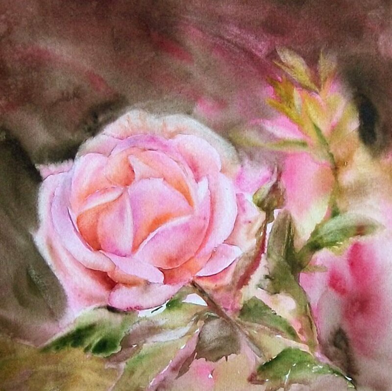 Pink Rose Flower — Calm, Painting