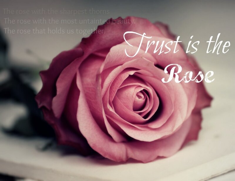 Pink Rose Flower — Calm, Photograph, Text