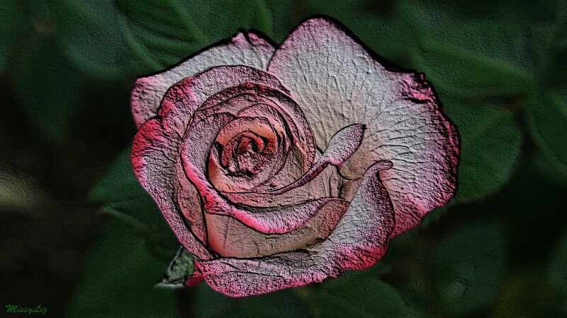 Pink Rose Flower — Dramatic, Digital Art, Green Leaves