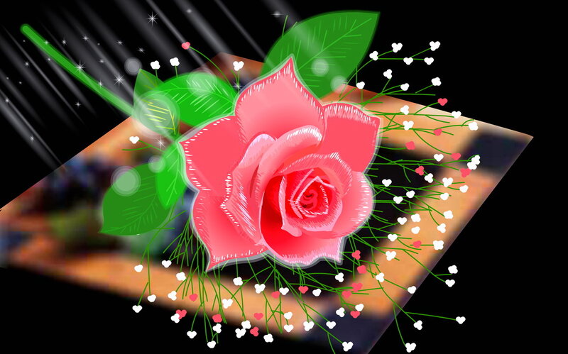 Pink Rose Flower — Dramatic, Digital Art, Leaves