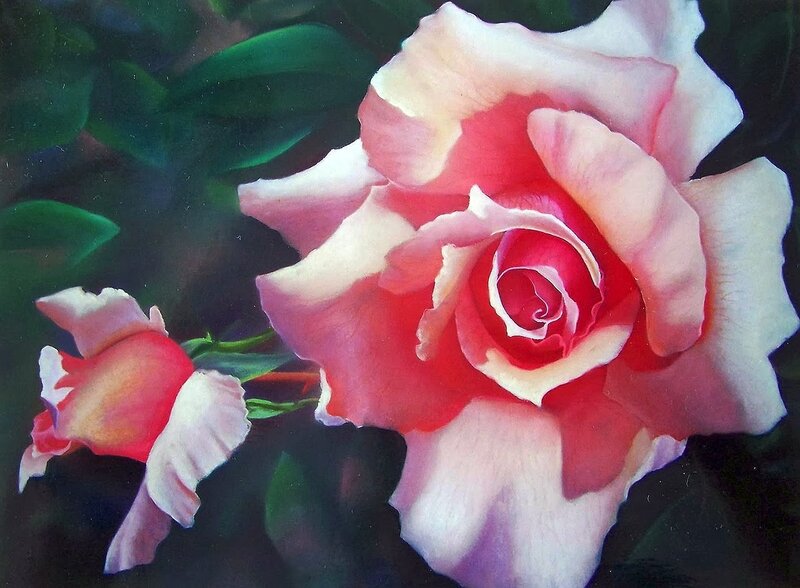 Pink Rose Flower — Dramatic, Painting, Bud