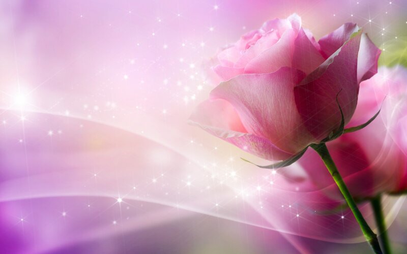 Pink Rose Flower — Dreamy, Digital Art, Sparkles, Stem