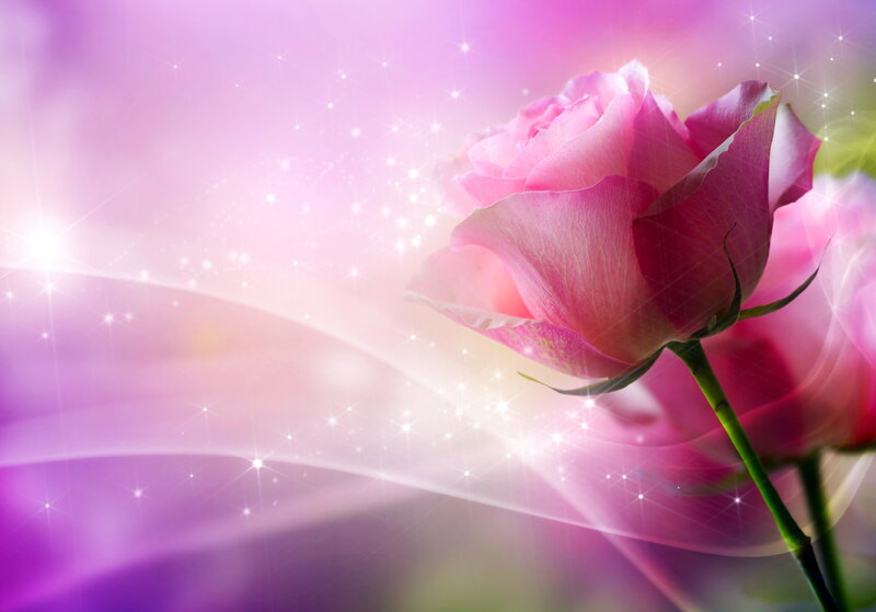 Pink Rose Flower — Dreamy, Digital Art, Sparkles