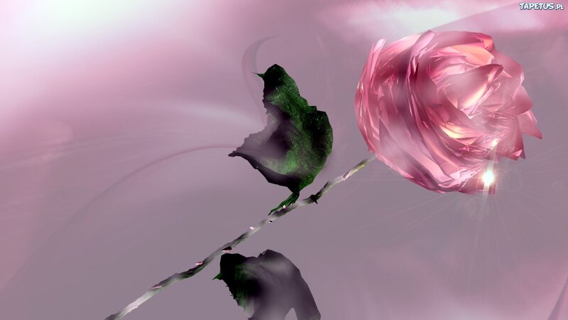Pink Rose Flower — Dreamy, Digital Art