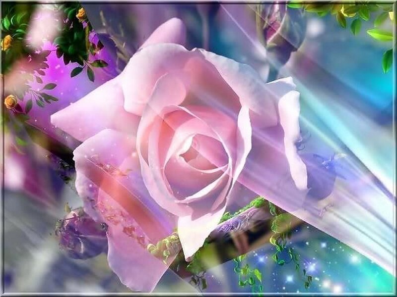 Pink Rose Flower — Ethereal, Digital Art, Leaves