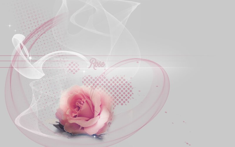 Pink Rose Flower — Romantic, Digital Art
