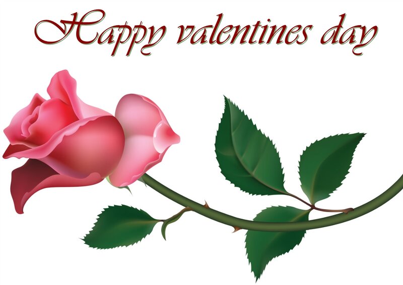 Pink Rose Flower — Romantic, Vector Art