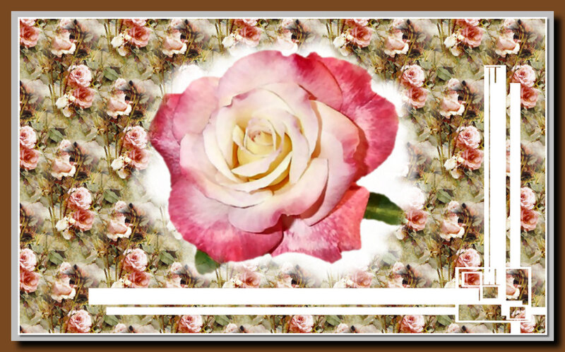Pink Rose Flower — Serene, Digital Art, Flowers