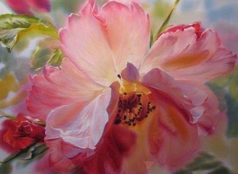 Pink Rose Flower — Serene, Painting, Petals, Leaves