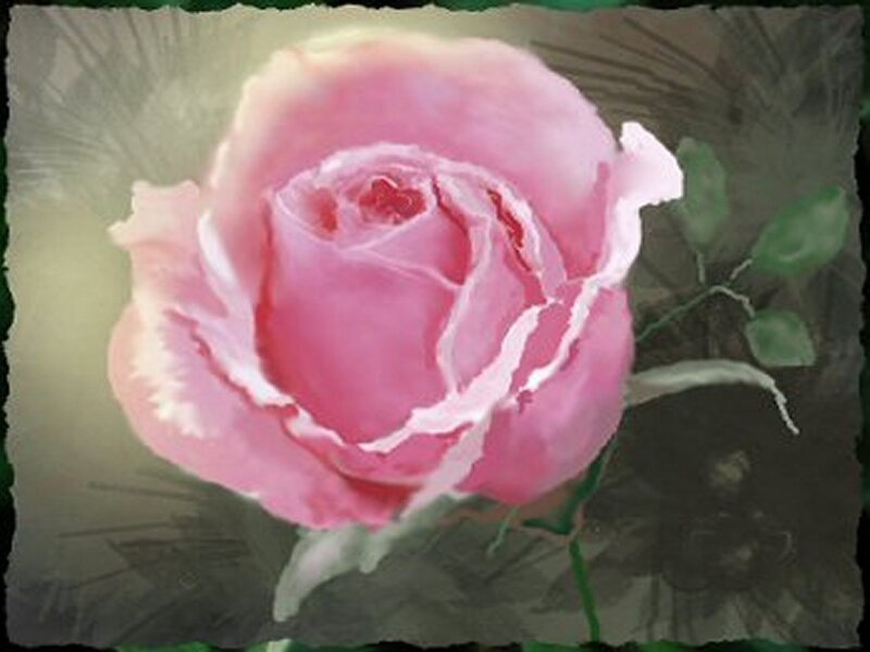 Pink Rose Flower — Serene, Painting