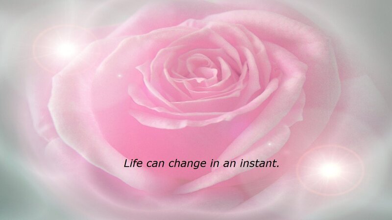 Pink Rose Flower — Serene, Photograph, Text