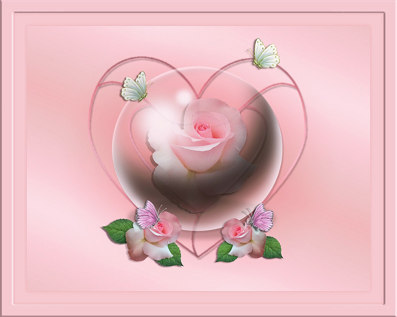 Pink rose heart design