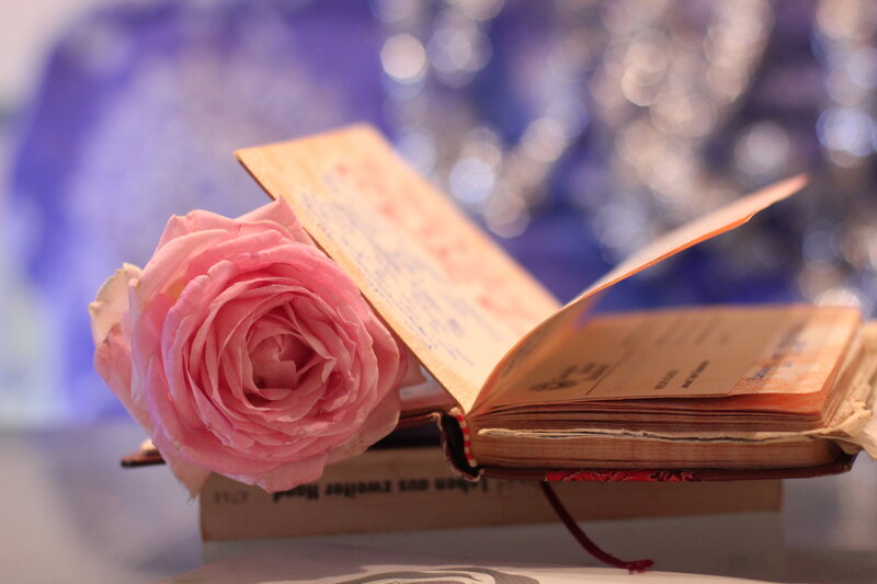 Pink Rose in Book — Serene, Photograph, Bookmark