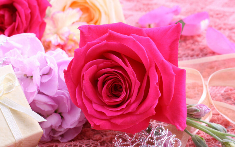 Pink Rose in Bouquet — Romantic, Photograph