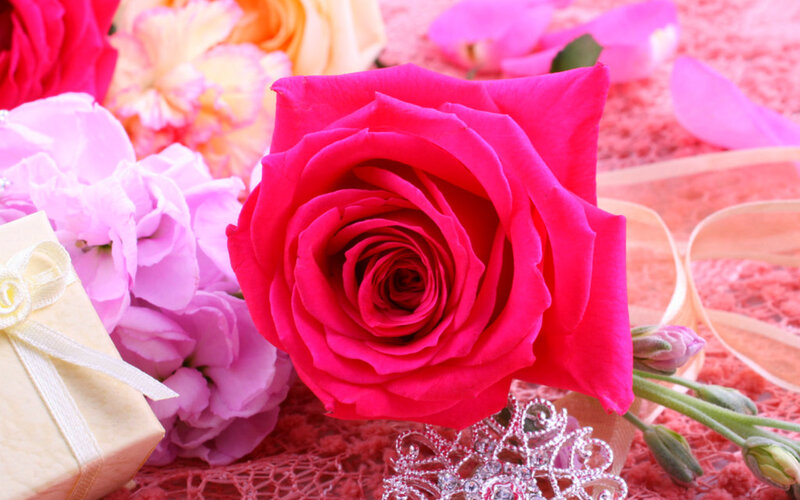 Pink Rose in Bouquet — Romantic