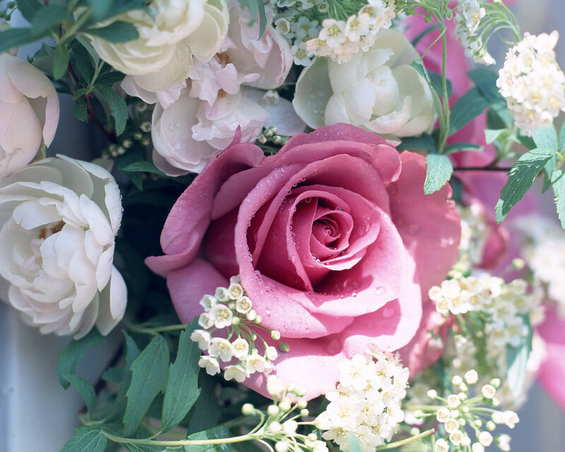 Pink Rose in Bouquet — Serene, Photograph, White Flowers