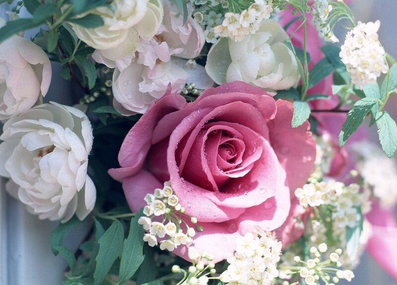 Pink Rose in Bouquet — Serene