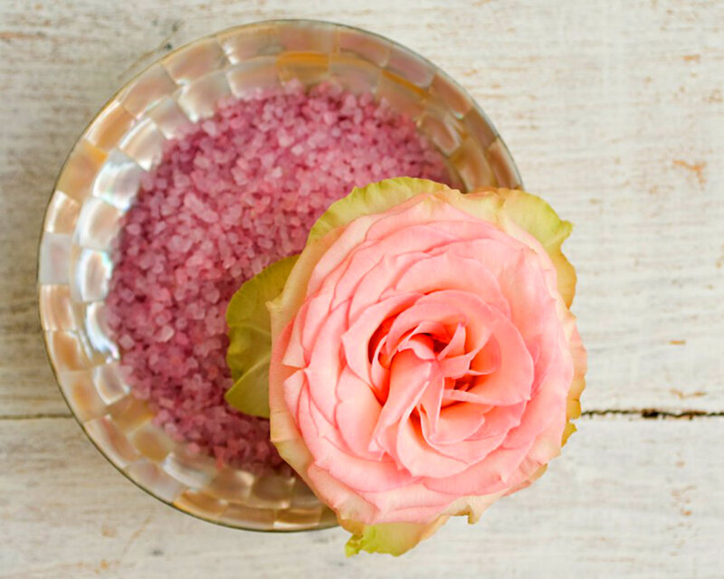 Pink Rose in Bowl — Calm